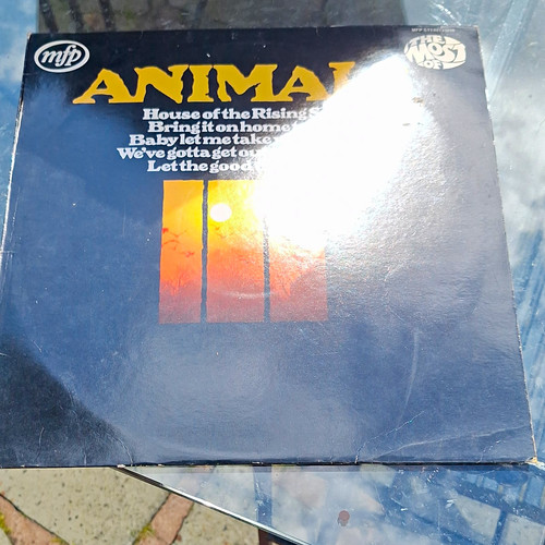The animals most - the,