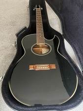 Washburn EA20 electro acoustic