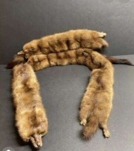 Vintage 1960s mink fur stole - mink,
