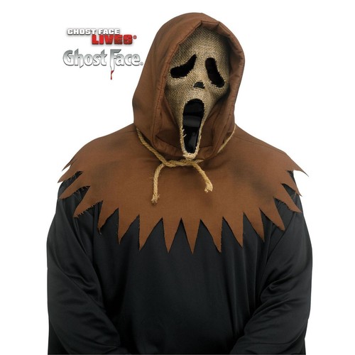 Wicked costumes ghost - ghost, face