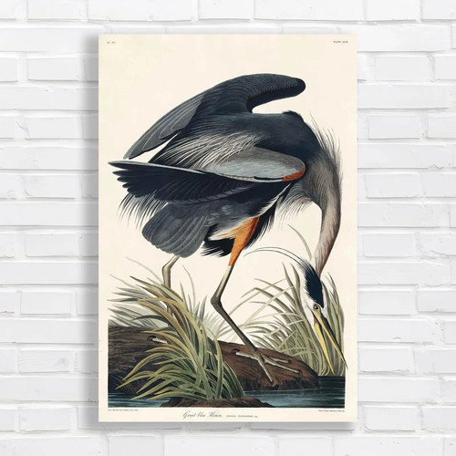 Majestic great blue heron - majestic,