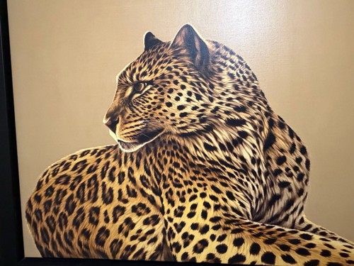 Leopard darryn eggleton - leopard,