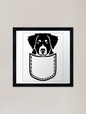 Bernese Mountain Dog In Your