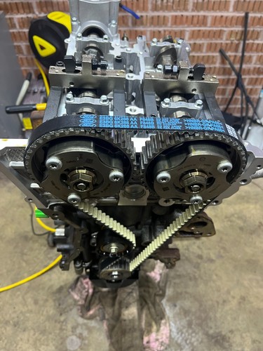 Ecoboost wet belt timing - ecoboost, belt/timing