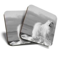 2 x Coasters (BW) - Samoyed
