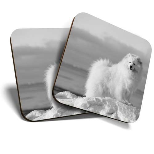 Coasters samoyed - (bw),