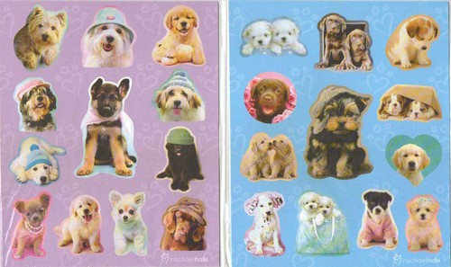 Rachael hale dog - hale, puppies