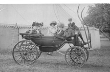 POSTCARD  ILFRACOMBE HORSE