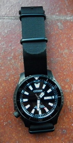 Citizen promaster fugu - citizen,