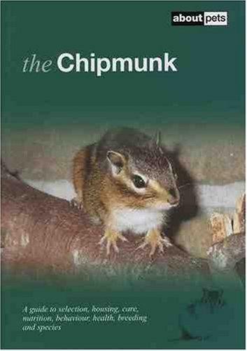 The chipmunk about - chipmunk, pets