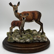 Border Fine Arts Red Hind &