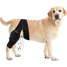 Dog Knee Brace Hind Leg Strong