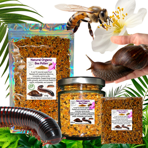 Bee pollen food supplement for - bee,