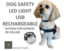 LED DOG COLLAR SAFETY TORCH