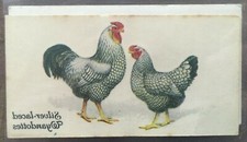 JOHN PLAYERS - SILVER LACED WYANDOTTES - POULTRY CIGARETTE CARD TRANSFER