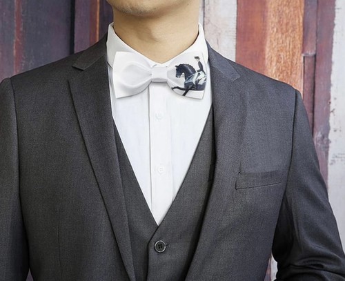 Men satin silk racehorse - silk,