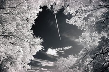 Modified Canon 100D camera