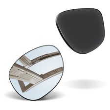 Silver POLARIZED Replacement