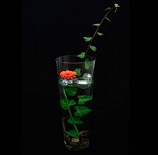 Glass conical vase 35x14cmcm