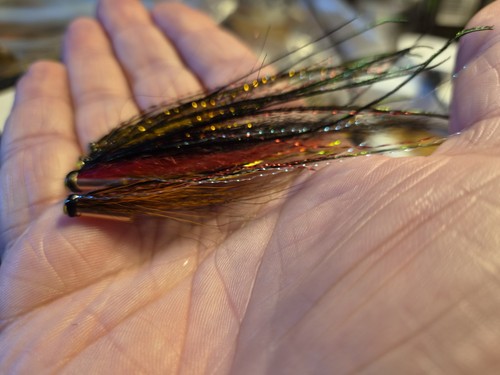 Salmon fly tube - tube, sunray