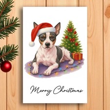 American hairless terrier - hairless,