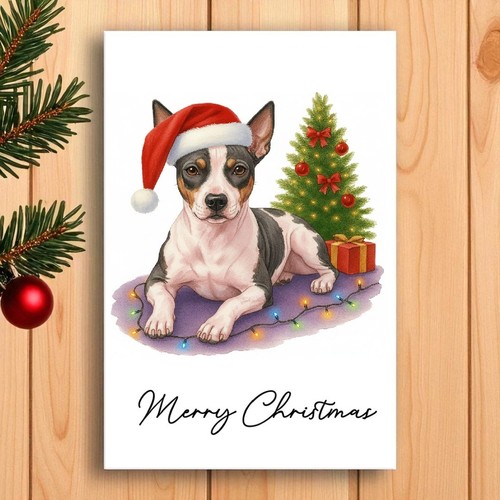 American hairless terrier - american,