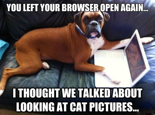 Funny boxer dog fridge magnet - boxer,