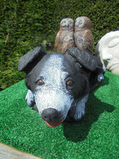 Collie dog concrete garden