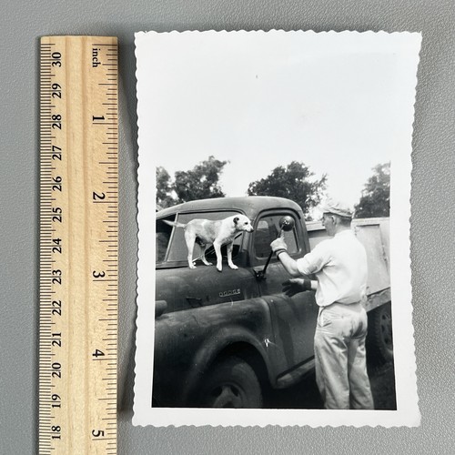 Vtg 1954 dodge job rated - dodge, truck