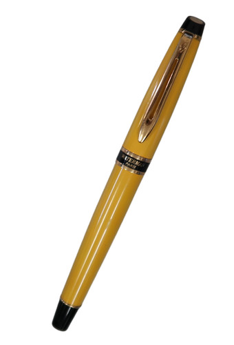 Waterman expert fountain pen - waterman,