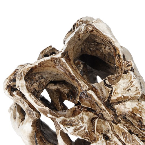 Resin dinosaur skull - resin,