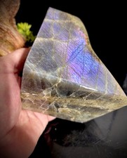 Large 2.6LB Beautiful Purple