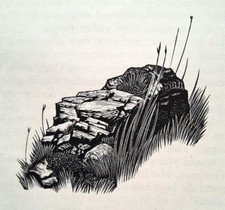 GRASSY ROCKS -  Print of a