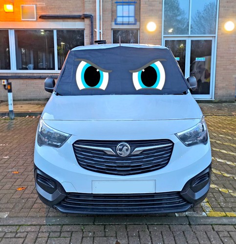 Citroen berlingo 2018 window - berlingo, +