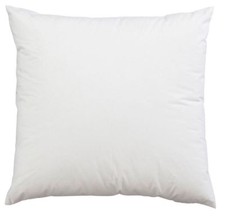 19" x 19" Inch Square Cushion