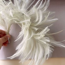 Fascinator Hats Feathers