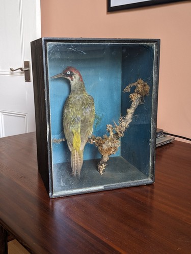 Rare antique victorian - 🌟,