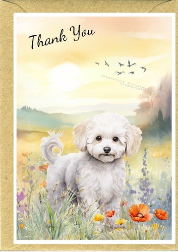 Bichon frise dog thank - bichon,