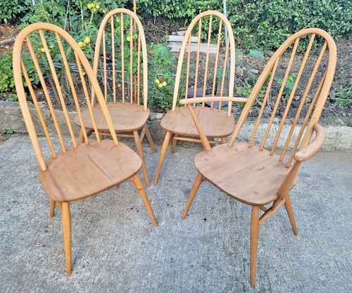 Ercol quaker dining chairs - quaker,
