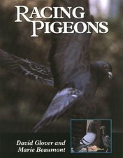 Racing Pigeons by David
