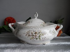 ROYAL ALBERT HAWORTH PATTERN