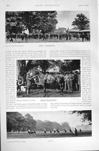 Original old antique print - original,