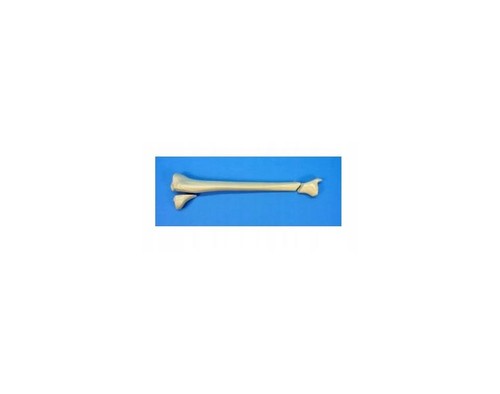 Synbone tibia piece - tibia, 1