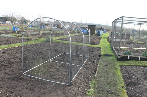 Fruit vegetable cage with - fruit, or