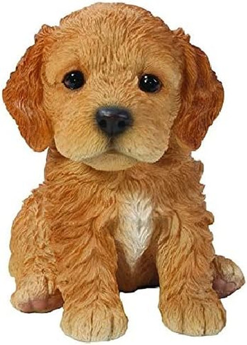 Gift ltd sitting cockapoo - gift,