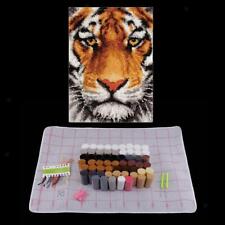 Adults Latch Hook Rug Kits DIY