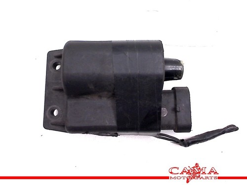 Ecu unit - unit, ignition)