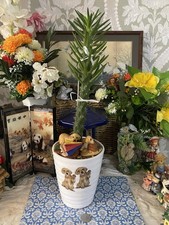 Extra Large Cactus Tree In A