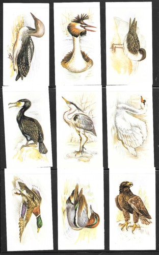 John player grandee card set - john,