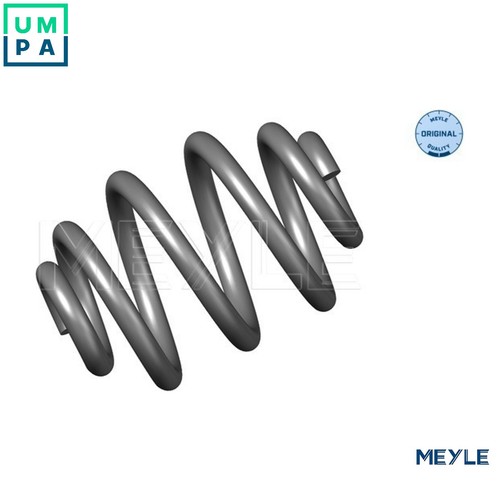 Suspension spring 100 - suspension, 739